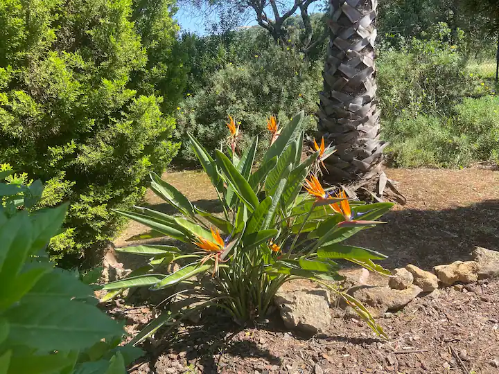 da6cf7e1-7610-4e8a-9014-52a4d9cba982